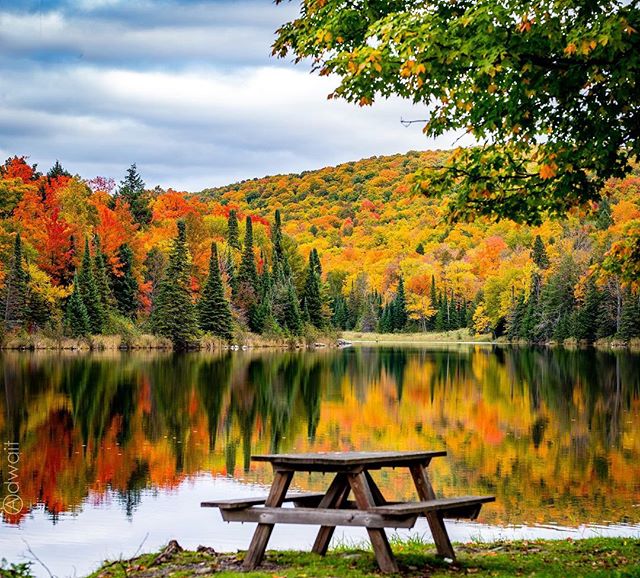 Now Available: Pure Michigan Travel Guide Showcasing Unique Fall and Winter Seasonal Travel Ideas