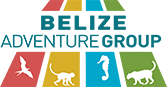partnerlogo