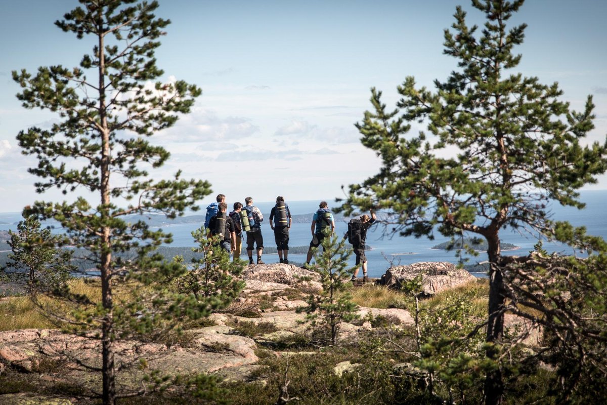 Untamed and Changing Skylines – Visit Sweden