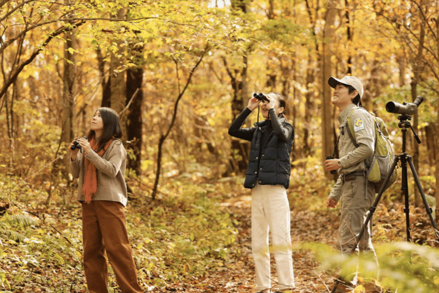 8 sustainable wildlife experiences for intrepid explorers – WWF