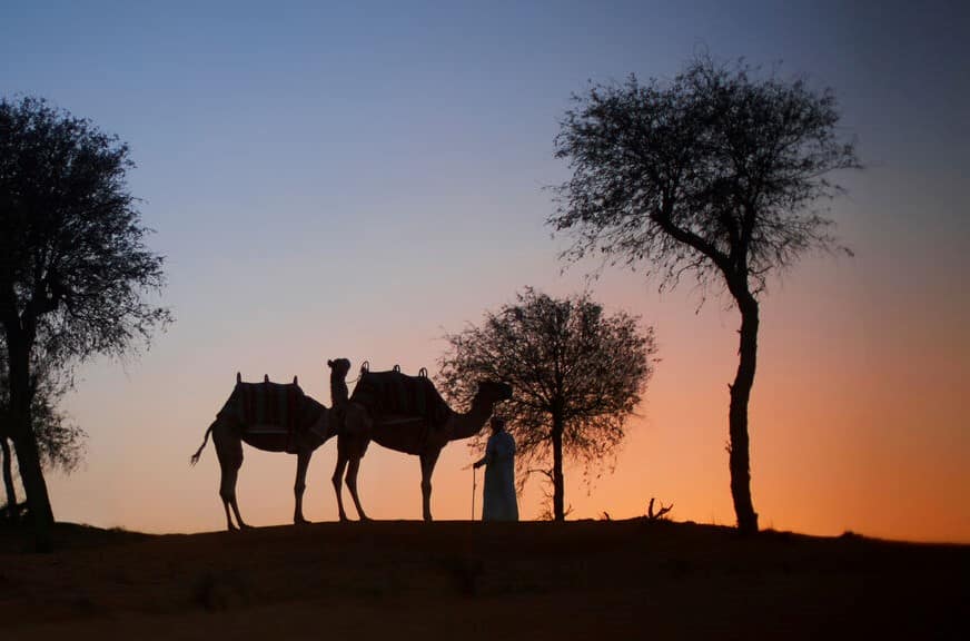 If Only And Ras Al Khaimah Tourism Development Authority Joint Marketing Campaign – Endless Adventure