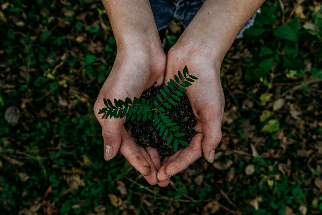 Eco-Friendly California Destinations