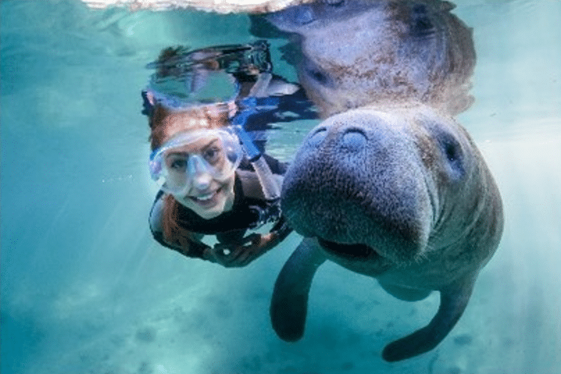 The Sun is Shining in Florida – Discover What’s New