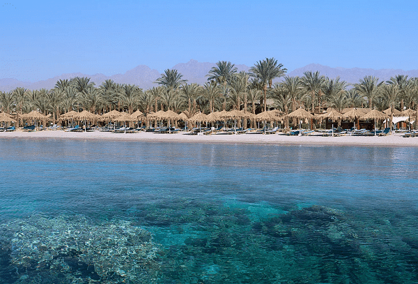 Faryouz Resort in Sharm El Sheikh Recognised as One of the Top Hotels by HolidayCheck