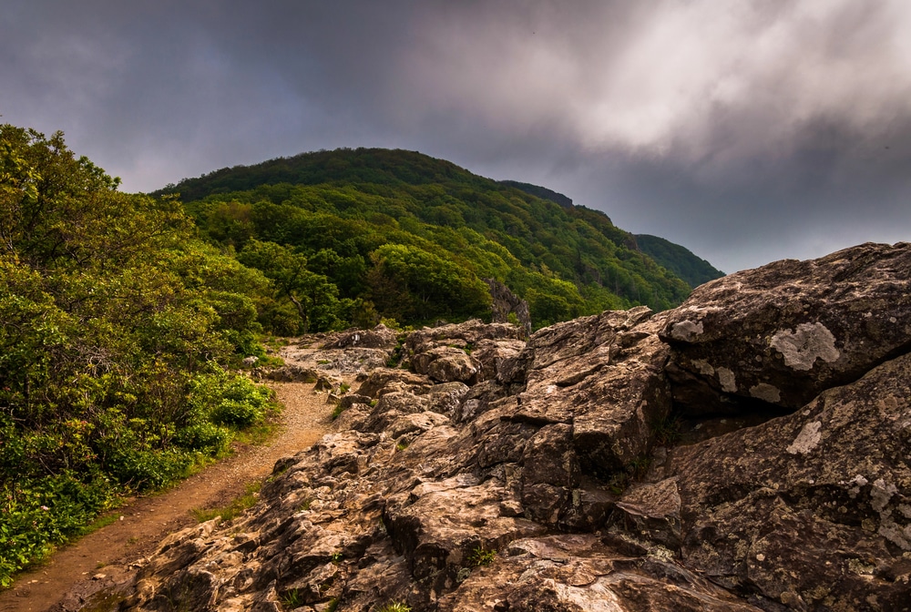 Conquering the Wild: A Journey Along the Appalachian Trail