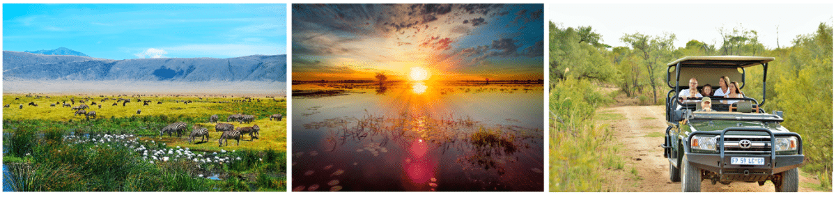 Newmarket Holidays Adds New Safari Tours